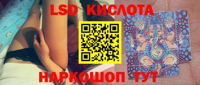 крисы Будённовск