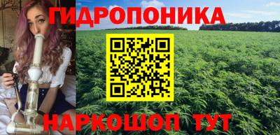 крисы Будённовск