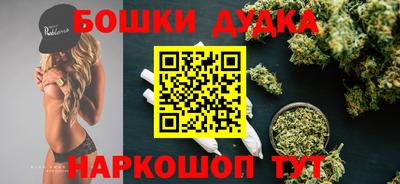крисы Будённовск