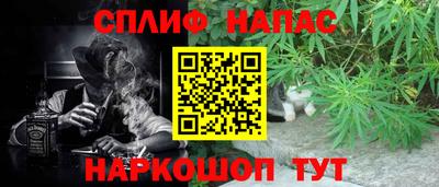 крисы Будённовск