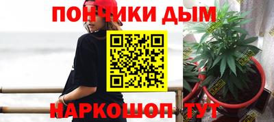 крисы Будённовск