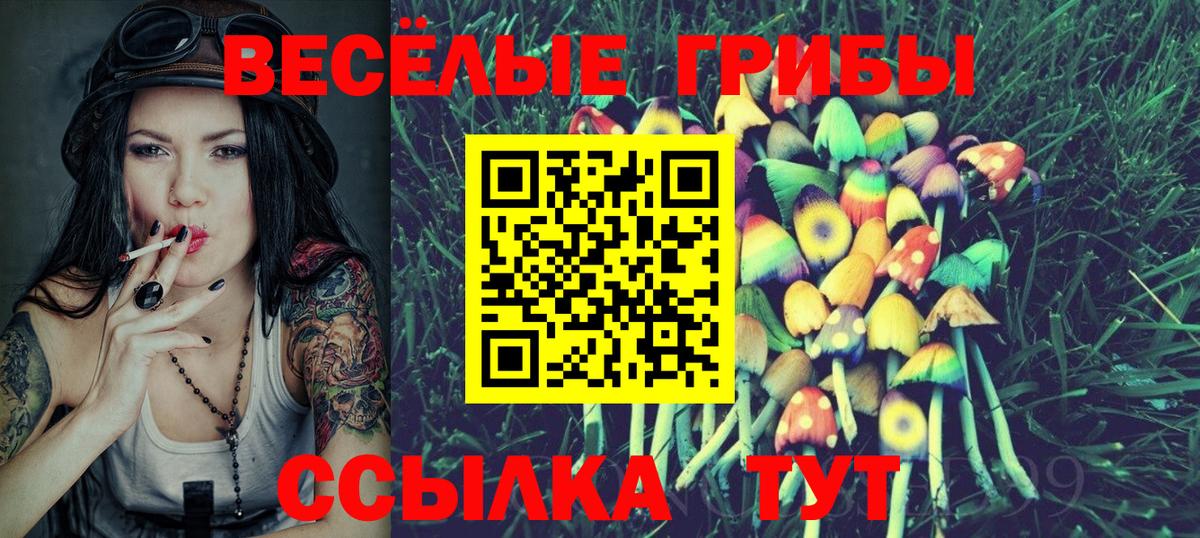 Псилоцибиновые грибы Psilocybe  Галлюциногенные грибы ЛСД  Салехард  Вход с VPN 